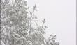 La neige s'invite sur nos routes